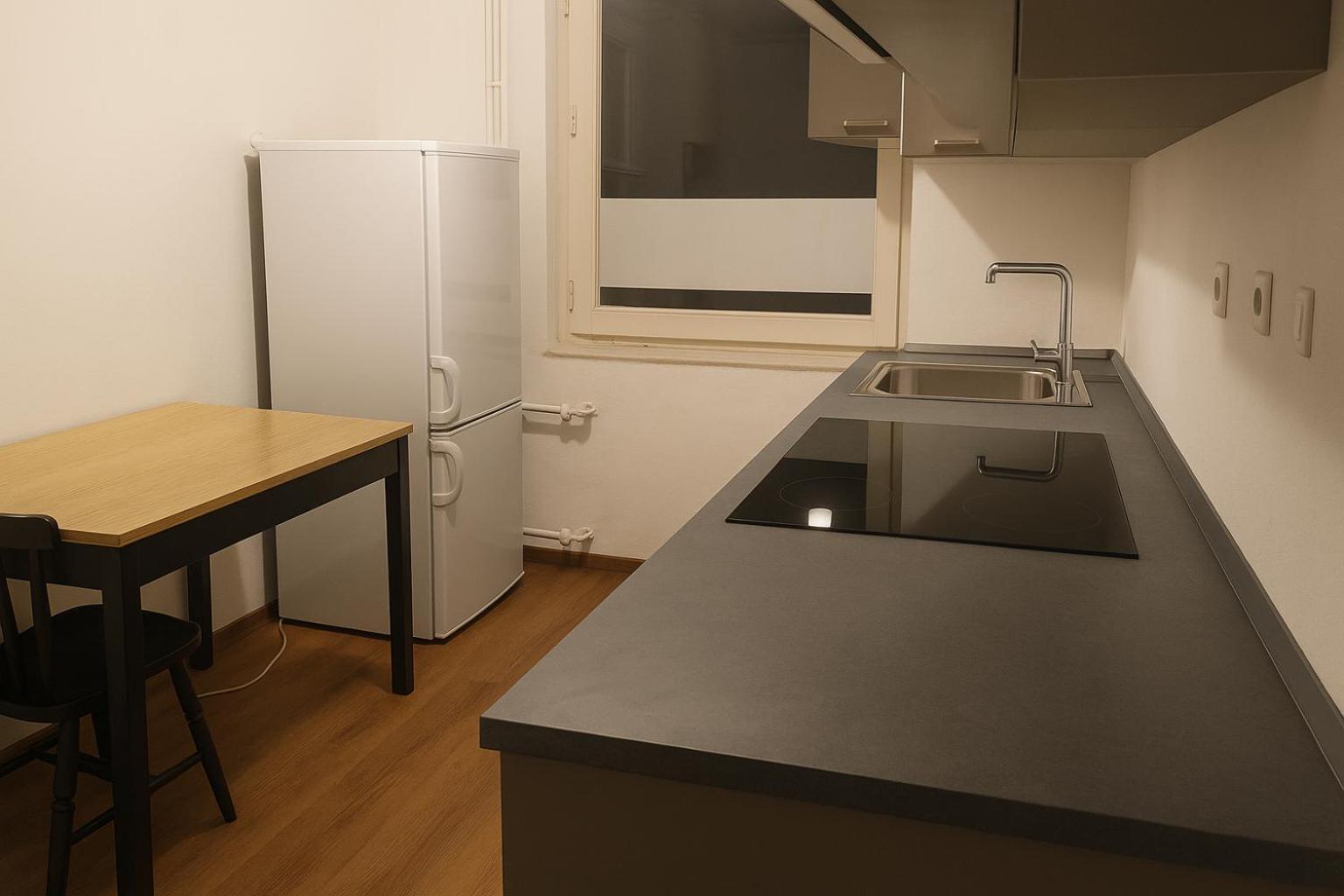 Apartment Emona